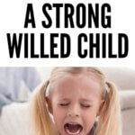 Discipline a Strong Willed Child