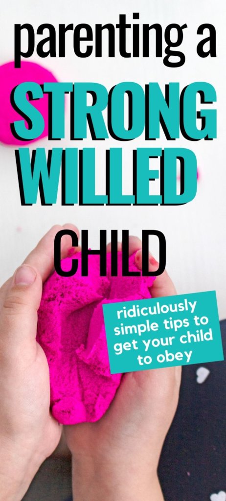 Parenting a Strong Willed Child